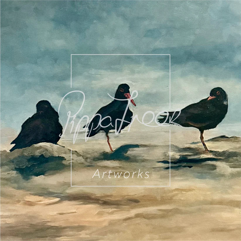 ‘African Oystercatchers’