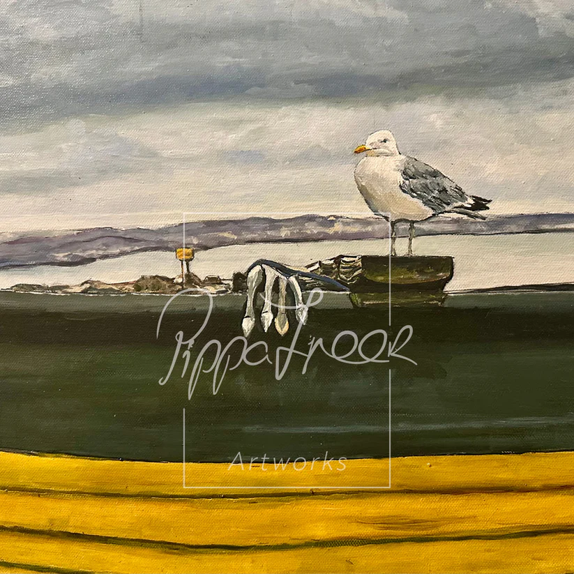 ‘The Gull from Worthing West Sussex’